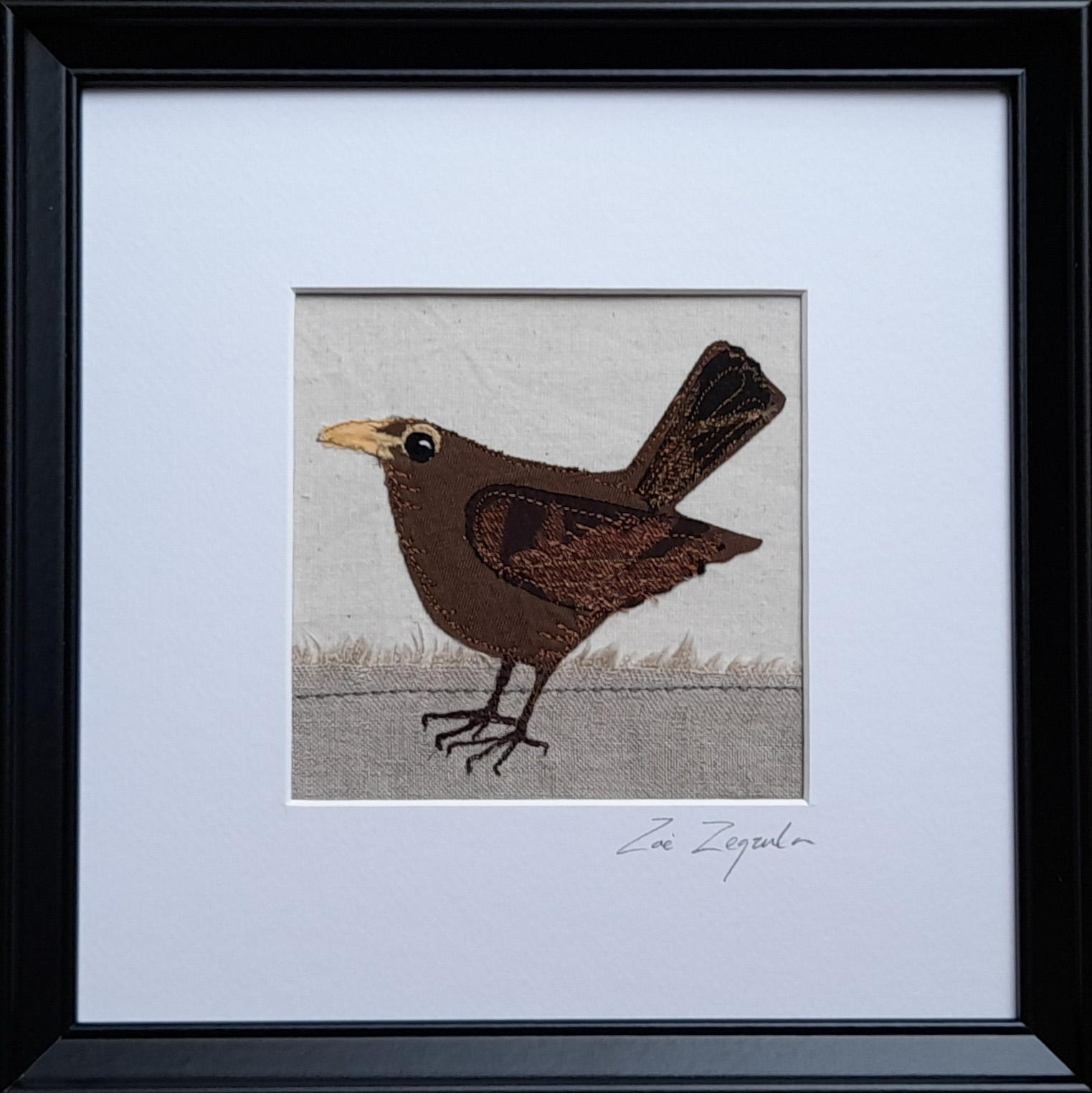 Female blackbird Zoe Zegzula